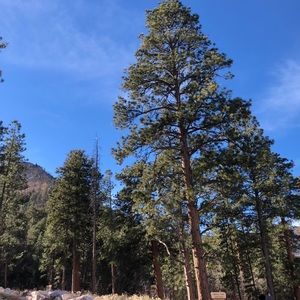 Meet your Posher, Carissa